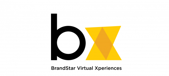 bvx logoFull Logo